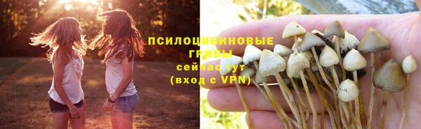 каннабис Алексеевка