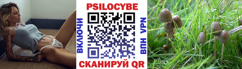 Галлюциногенные грибы мухоморы  мориарти наркотические препараты  Чухлома 